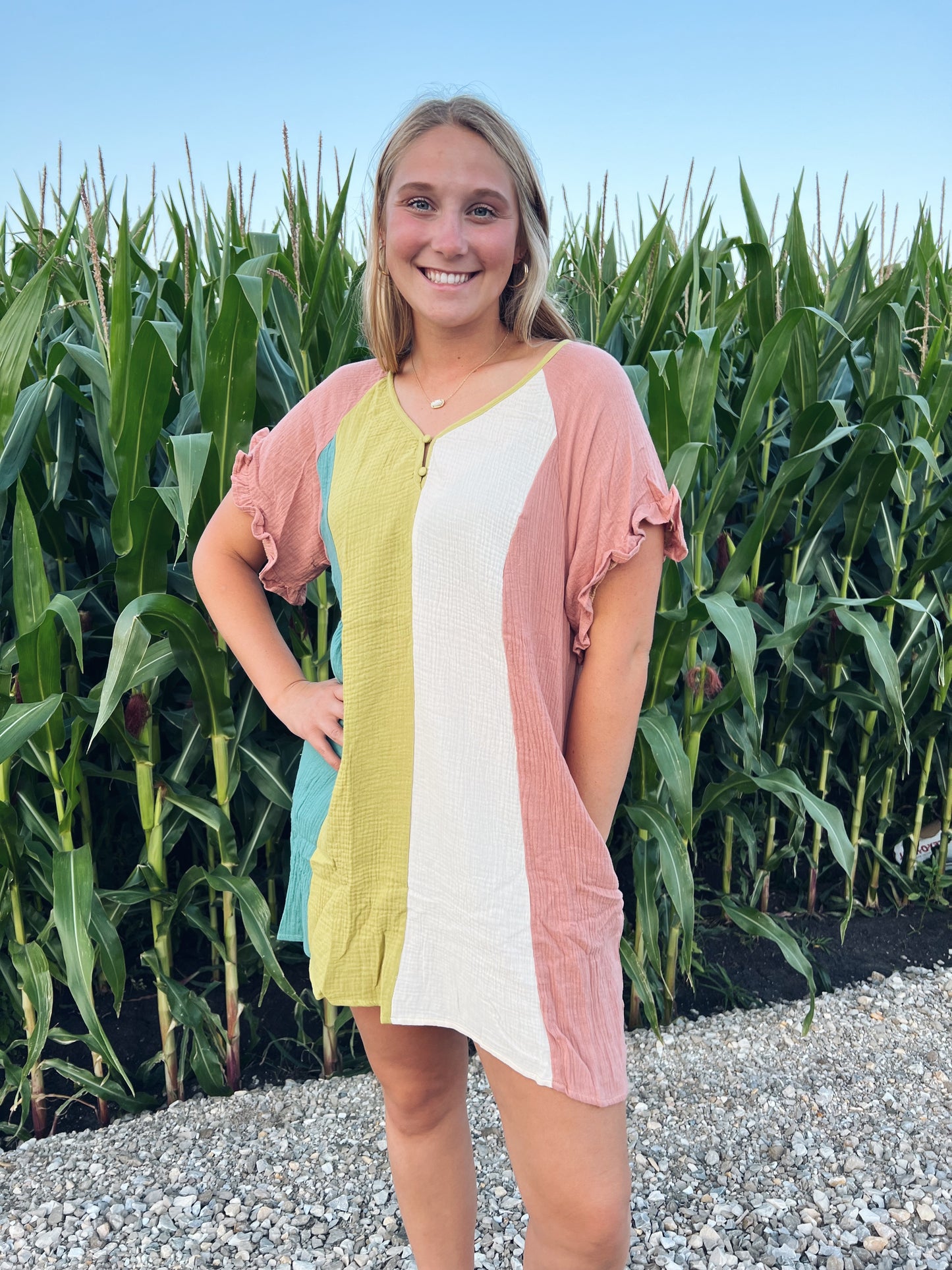 Multicolor Pocket Dress